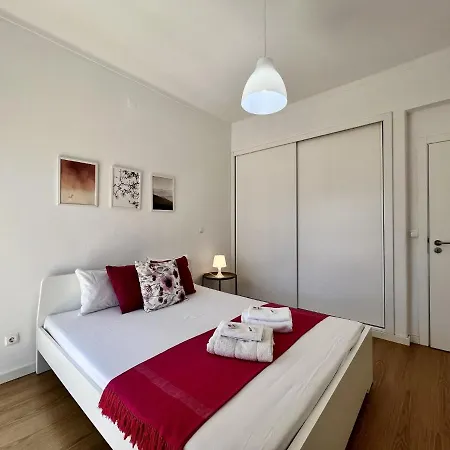 Apartment Sunlight By Homing